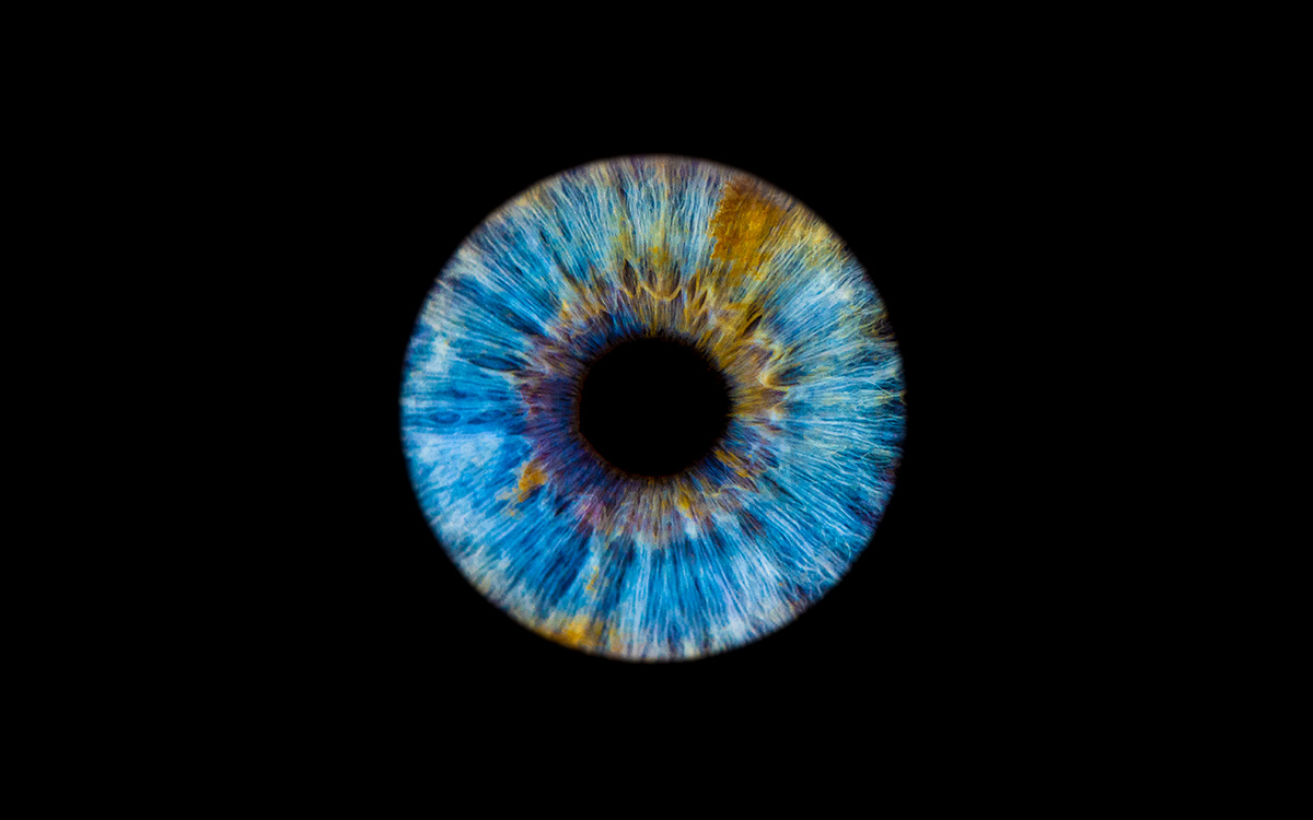 Irisfotografie einer blauen Iris.